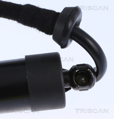 Triscan Gasveer, kofferruimte 8710 29301