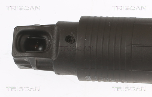 Triscan Gasveer, kofferruimte 8710 29304
