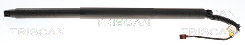 Gasveer, kofferruimte Triscan 8710 29320