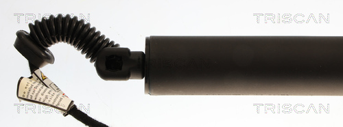 Triscan Gasveer, kofferruimte 8710 29324