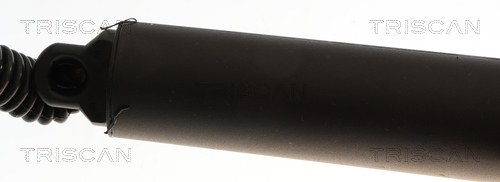 Triscan Gasveer, kofferruimte 8710 29325