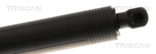 Triscan Gasveer, kofferruimte 8710 29325