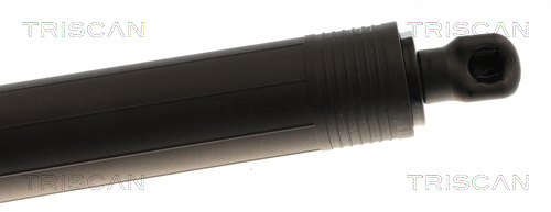 Triscan Gasveer, kofferruimte 8710 29326