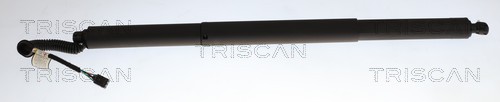 Gasveer, kofferruimte Triscan 8710 29328