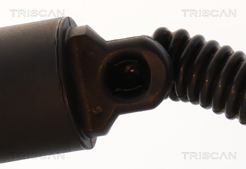 Triscan Gasveer, kofferruimte 8710 29328