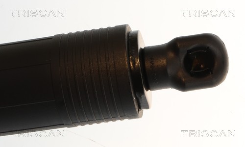 Triscan Gasveer, kofferruimte 8710 29328