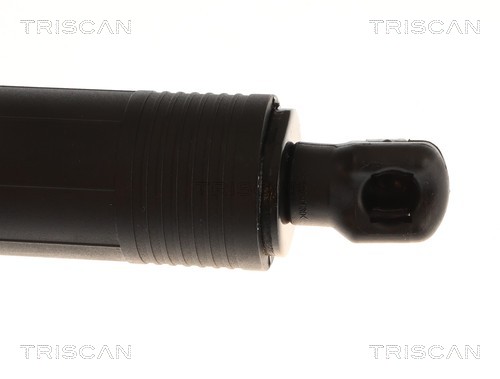 Triscan Gasveer, kofferruimte 8710 29329