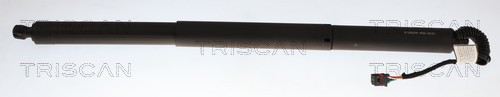 Gasveer, kofferruimte Triscan 8710 29330