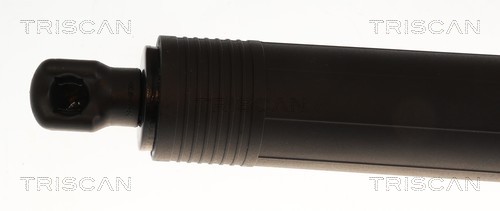 Triscan Gasveer, kofferruimte 8710 29330