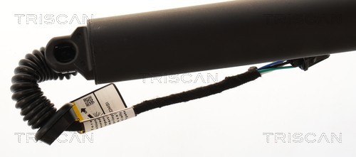 Triscan Gasveer, kofferruimte 8710 29330