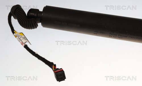 Triscan Gasveer, kofferruimte 8710 29331