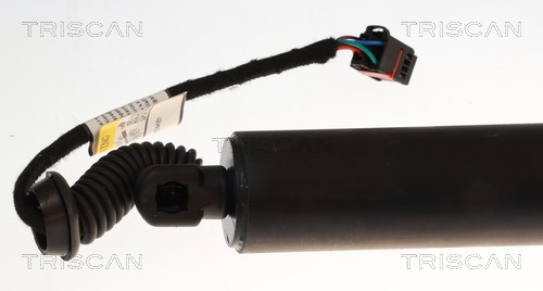 Triscan Gasveer, kofferruimte 8710 29331