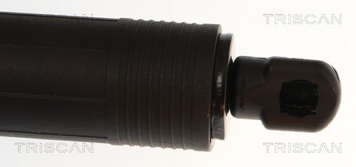 Triscan Gasveer, kofferruimte 8710 29331