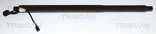 Gasveer, kofferruimte Triscan 8710 29332