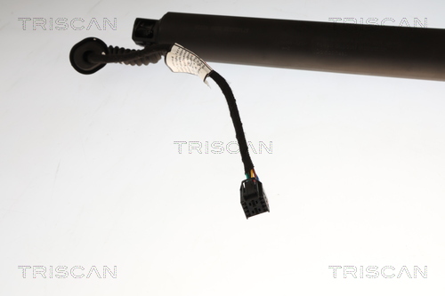 Triscan Gasveer, kofferruimte 8710 29332
