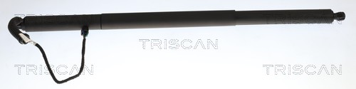 Triscan Gasveer, kofferruimte 8710 29334