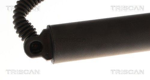 Triscan Gasveer, kofferruimte 8710 29334