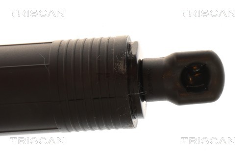 Triscan Gasveer, kofferruimte 8710 29334