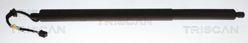 Gasveer, kofferruimte Triscan 8710 29335