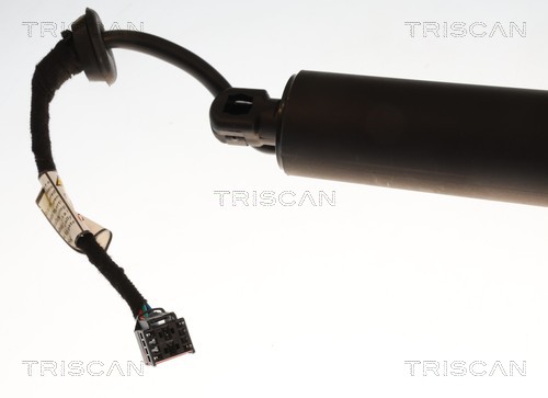 Triscan Gasveer, kofferruimte 8710 29335