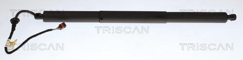 Gasveer, kofferruimte Triscan 8710 29336