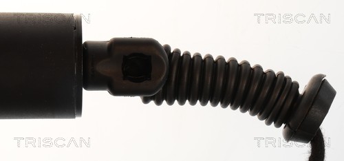 Triscan Gasveer, kofferruimte 8710 29337