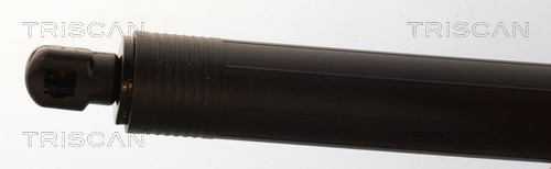 Triscan Gasveer, kofferruimte 8710 29337