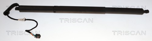Triscan Gasveer, kofferruimte 8710 29338