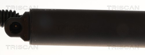 Triscan Gasveer, kofferruimte 8710 29338