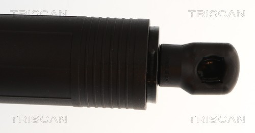 Triscan Gasveer, kofferruimte 8710 29338
