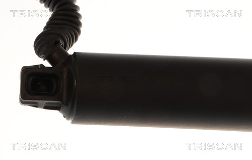 Triscan Gasveer, kofferruimte 8710 29340