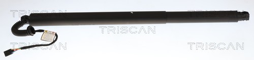 Gasveer, kofferruimte Triscan 8710 29341