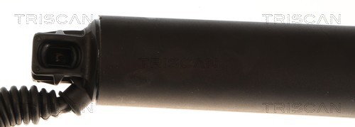 Triscan Gasveer, kofferruimte 8710 29341