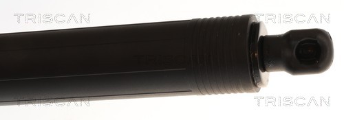 Triscan Gasveer, kofferruimte 8710 29342