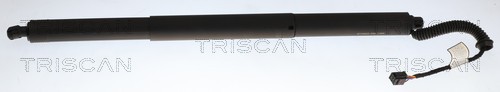 Gasveer, kofferruimte Triscan 8710 29343