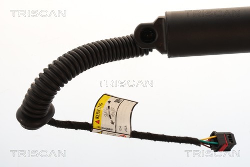 Triscan Gasveer, kofferruimte 8710 29343