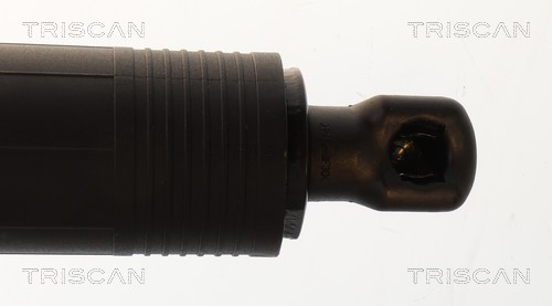 Triscan Gasveer, kofferruimte 8710 29343