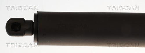 Triscan Gasveer, kofferruimte 8710 29344