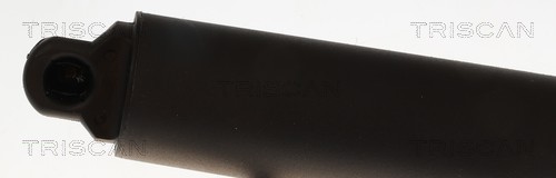 Triscan Gasveer, kofferruimte 8710 29346