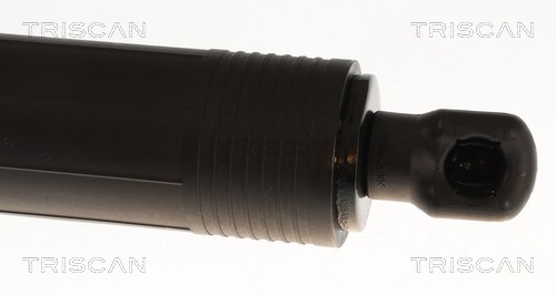 Triscan Gasveer, kofferruimte 8710 29346