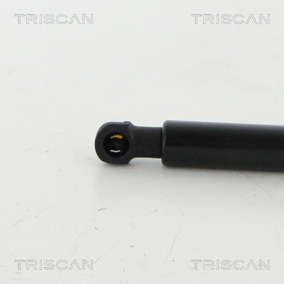 Triscan Gasveer, kofferruimte 8710 38248