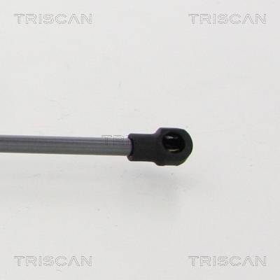 Triscan Gasveer, kofferruimte 8710 38248