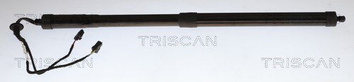 Gasveer, kofferruimte Triscan 8710 38301