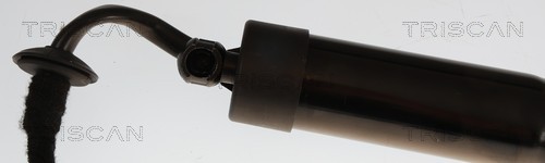 Triscan Gasveer, kofferruimte 8710 38301