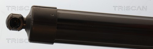 Triscan Gasveer, kofferruimte 8710 38301