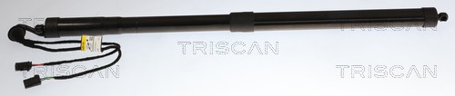 Triscan Gasveer, kofferruimte 8710 38302