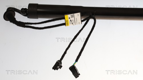 Triscan Gasveer, kofferruimte 8710 38302