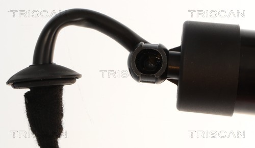 Triscan Gasveer, kofferruimte 8710 38302