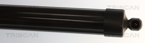 Triscan Gasveer, kofferruimte 8710 38302