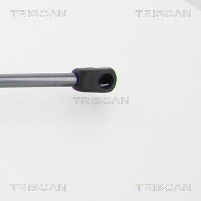 Triscan Gasveer, kofferruimte 8710 40242